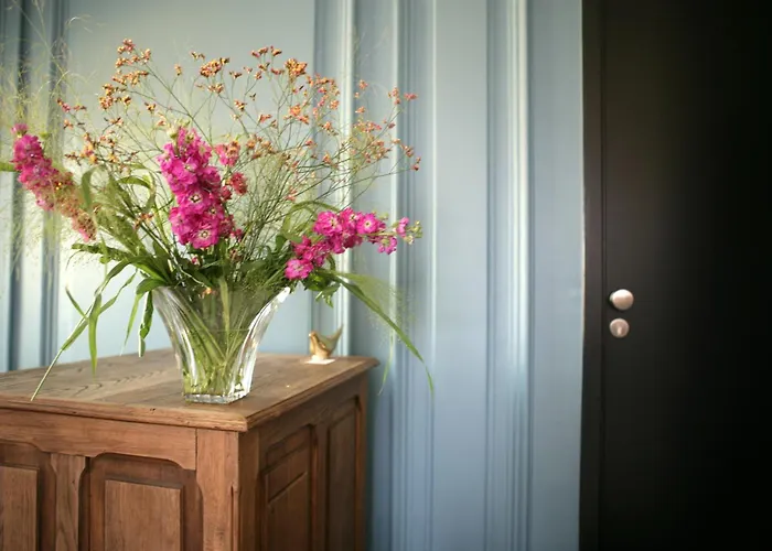 Apartament L'hotel Particulier - D'hotes Nancy