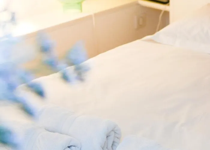 L'hotel Particulier - D'hotes Нанси